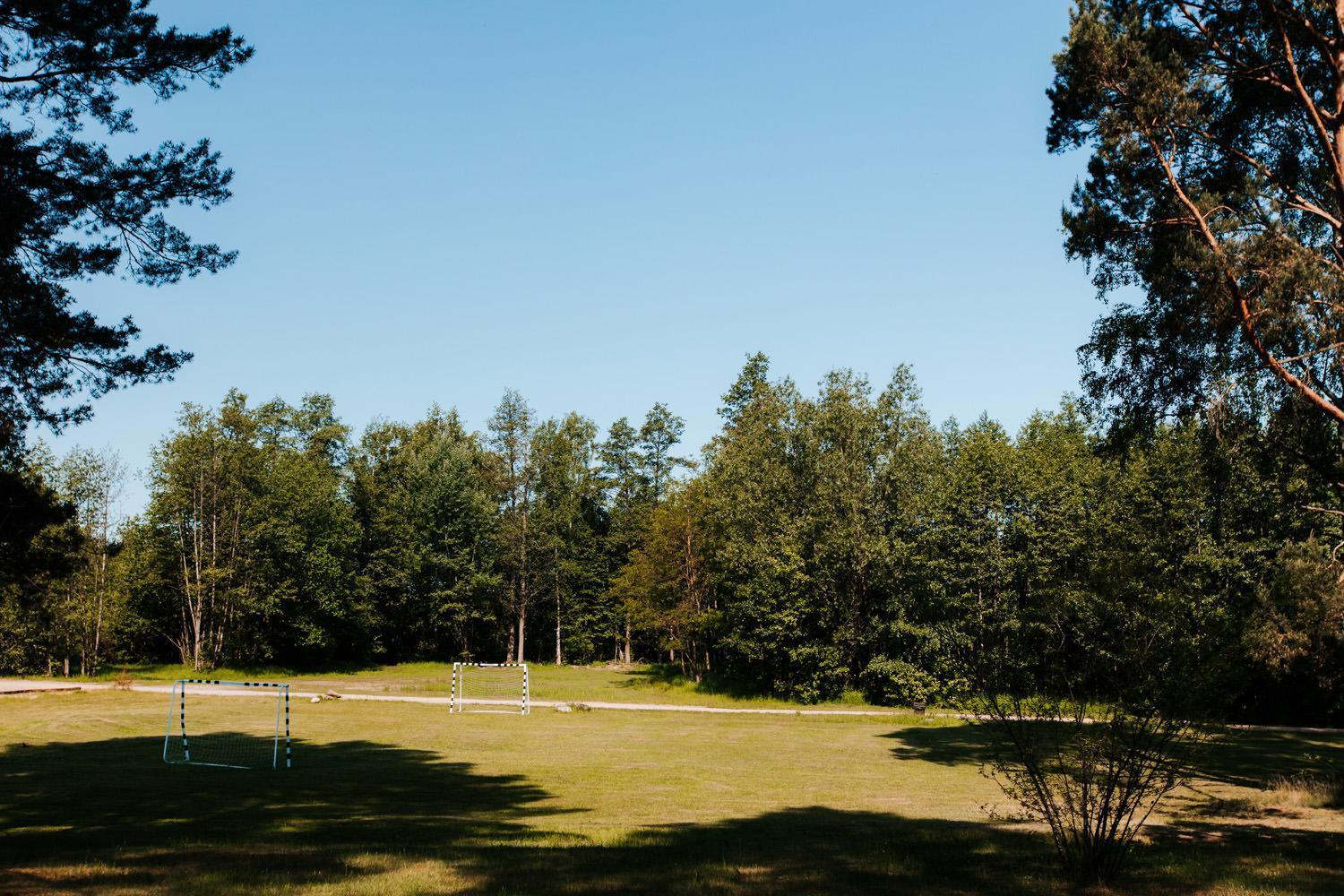 Jabłoń