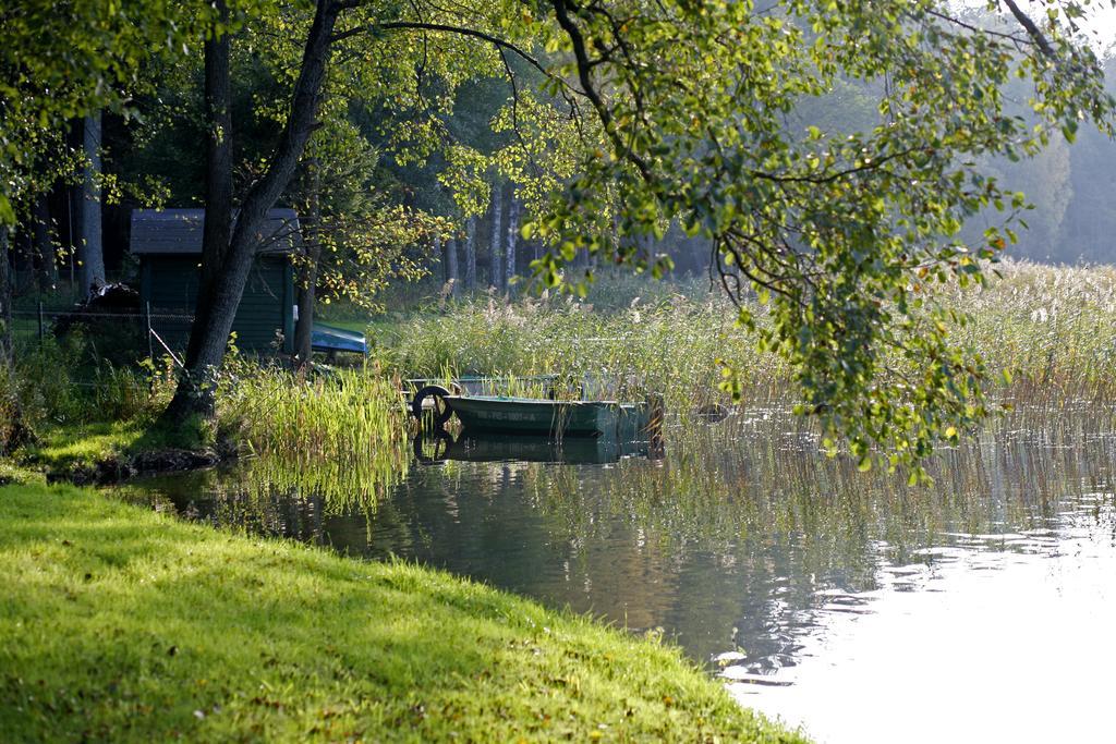 Jabłoń 3* Wiartel